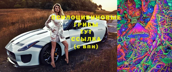 a pvp Алексин