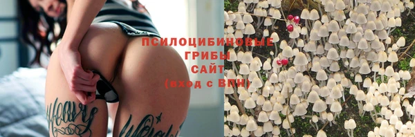 дурь Абаза