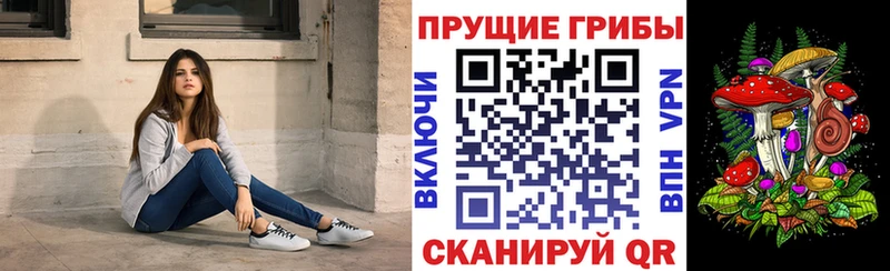 Галлюциногенные грибы GOLDEN TEACHER  Карачев 